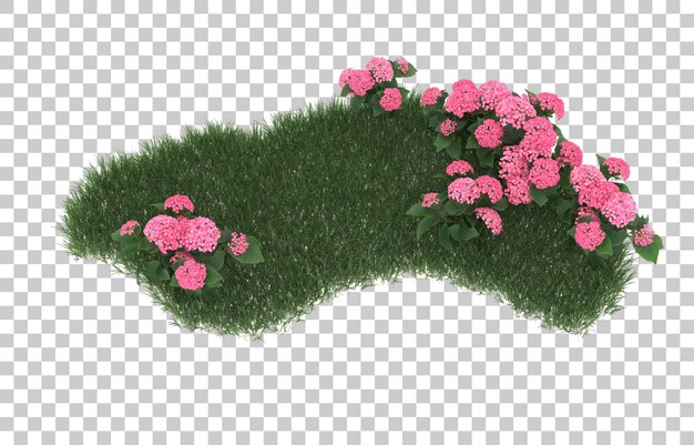 Campo de flores sobre fondo transparente. representación 3d - ilustración