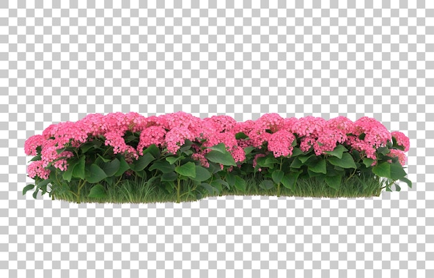 Campo de flores sobre fondo transparente. Representación 3d - ilustración