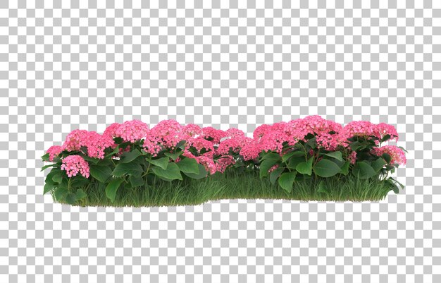 Campo de flores sobre fondo transparente. Representación 3d - ilustración