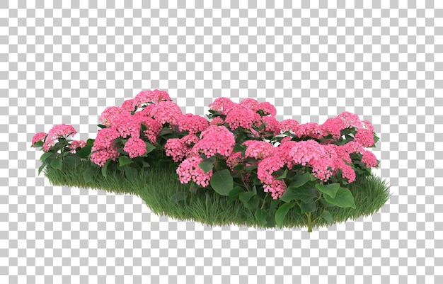 Campo de flores sobre fondo transparente. Representación 3d - ilustración