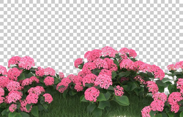 PSD campo de flores sobre fondo transparente. representación 3d - ilustración