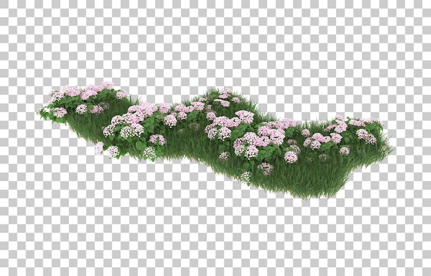 Campo de flores sobre fondo transparente. Representación 3d - ilustración