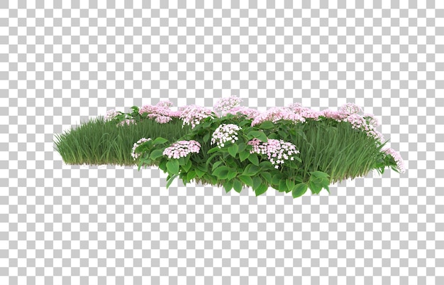 Campo de flores sobre fondo transparente. Representación 3d - ilustración