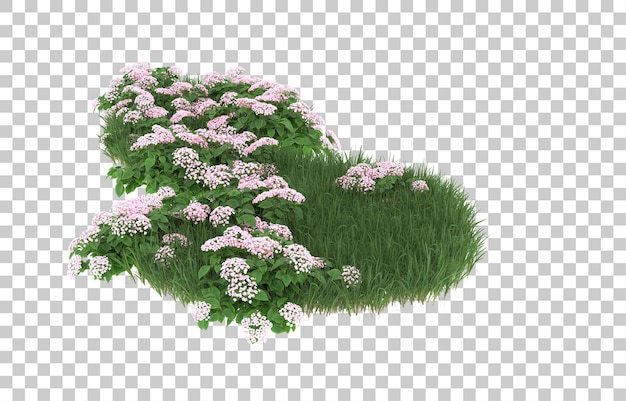 Campo de flores sobre fondo transparente. Representación 3d - ilustración