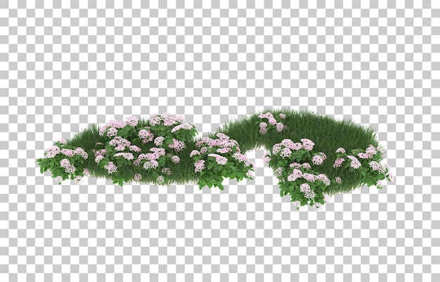 Campo de flores sobre fondo transparente. Representación 3d - ilustración