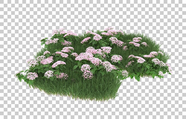 Campo de flores sobre fondo transparente. Representación 3d - ilustración