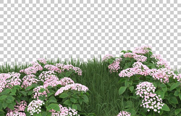Campo de flores sobre fondo transparente. Representación 3d - ilustración