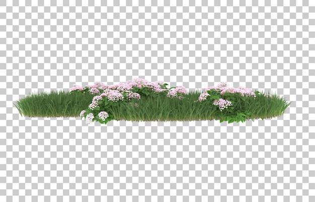 Campo de flores sobre fondo transparente. Representación 3d - ilustración