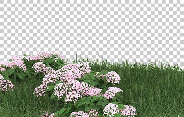 Campo de flores sobre fondo transparente. Representación 3d - ilustración