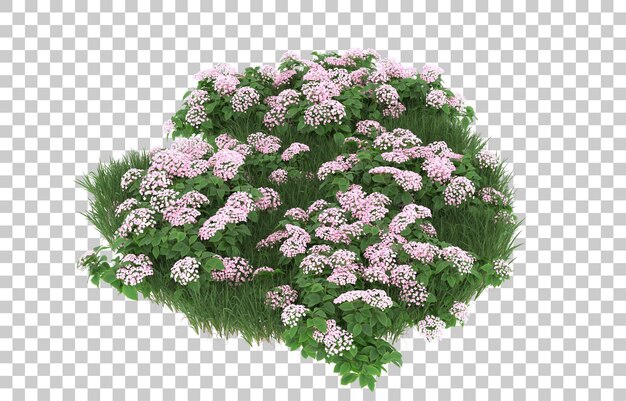 Campo de flores sobre fondo transparente. Representación 3d - ilustración