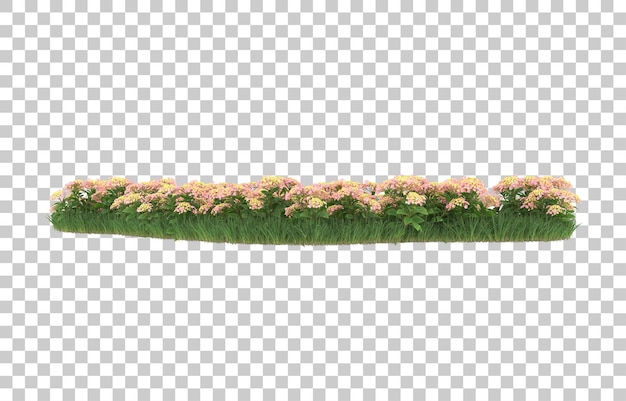 Campo de flores sobre fondo transparente. Representación 3d - ilustración