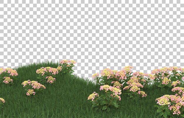 Campo de flores sobre fondo transparente. Representación 3d - ilustración