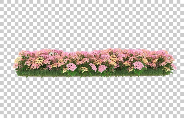 Campo de flores sobre fondo transparente. Representación 3d - ilustración