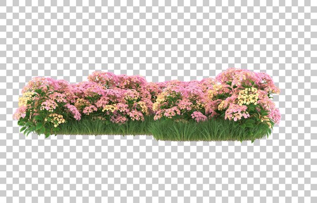 Campo de flores sobre fondo transparente. Representación 3d - ilustración