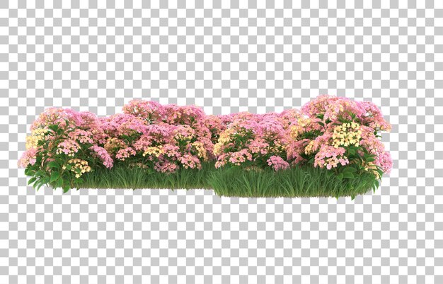 Campo de flores sobre fondo transparente. representación 3d - ilustración