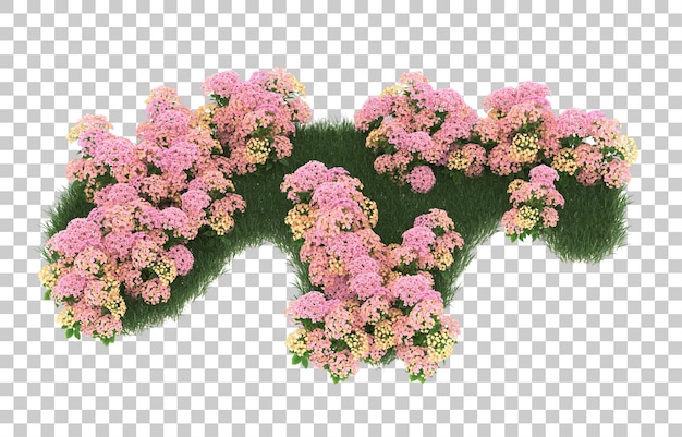 Campo de flores sobre fondo transparente. representación 3d - ilustración