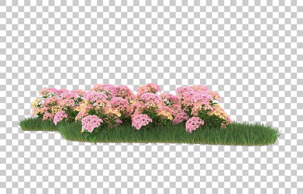 Campo de flores sobre fondo transparente. Representación 3d - ilustración