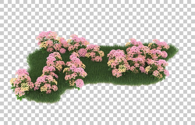 Campo de flores sobre fondo transparente. Representación 3d - ilustración