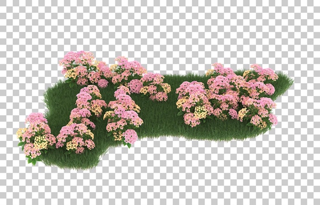 Campo de flores sobre fondo transparente. representación 3d - ilustración