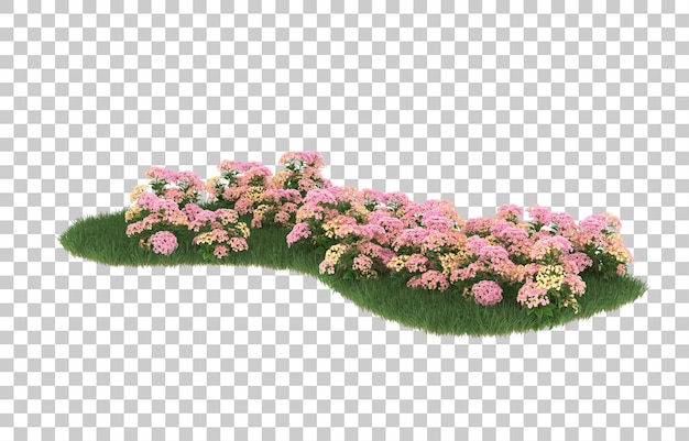 Campo de flores sobre fondo transparente. Representación 3d - ilustración