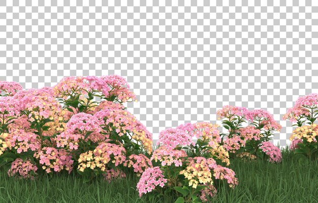 Campo de flores sobre fondo transparente. Representación 3d - ilustración