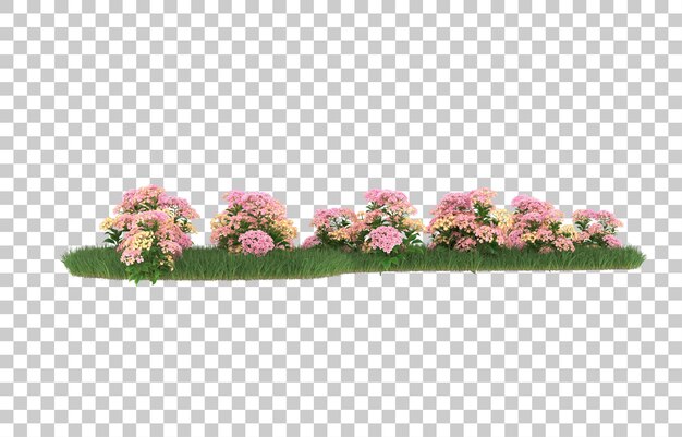 Campo de flores sobre fondo transparente. Representación 3d - ilustración