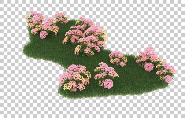 Campo de flores sobre fondo transparente. Representación 3d - ilustración