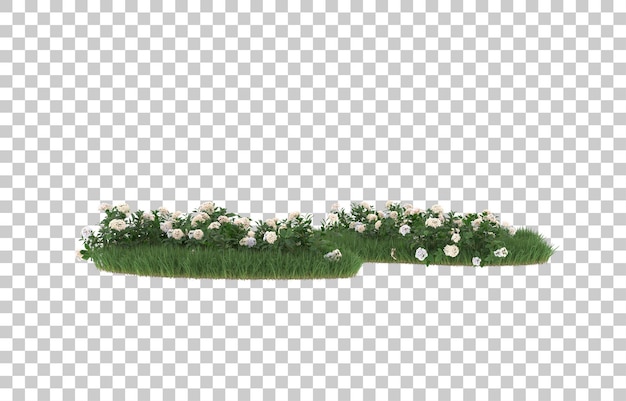 Campo de flores sobre fondo transparente. Representación 3d - ilustración