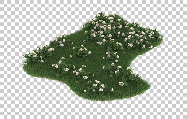 Campo de flores sobre fondo transparente. Representación 3d - ilustración
