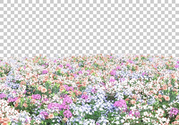 campo, con, flores, en, transparente, plano de fondo, 3d, interpretación, ilustración