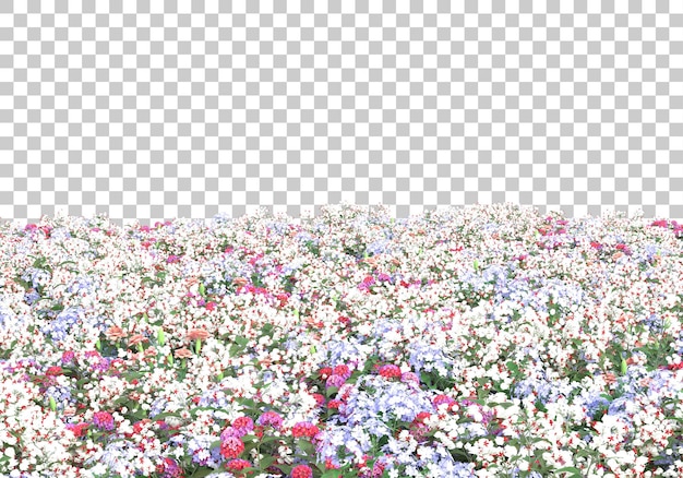 campo, con, flores, en, transparente, plano de fondo, 3d, interpretación, ilustración