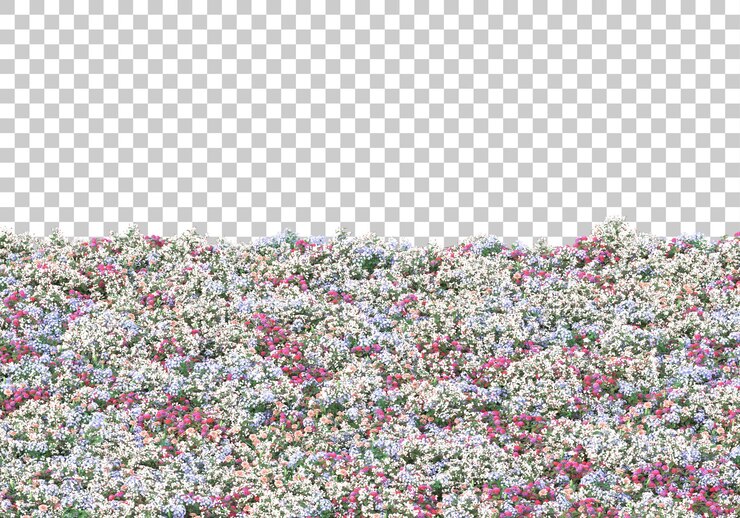 PSD campo, con, flores, en, transparente, plano de fondo, 3d, interpretación, ilustración