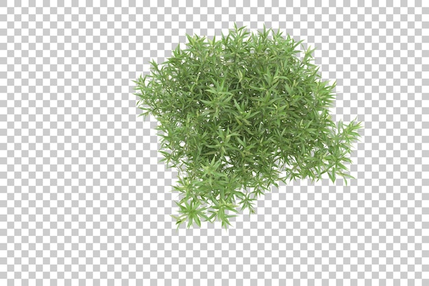 campo de hierba para la composición aislada en el fondo con ilustración de representación 3d de máscara