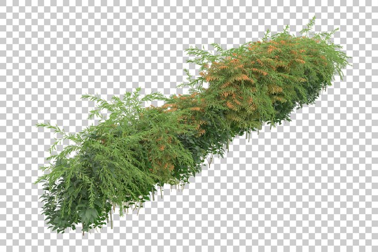 PSD campo de hierba para la composición aislada en el fondo con ilustración de representación 3d de máscara