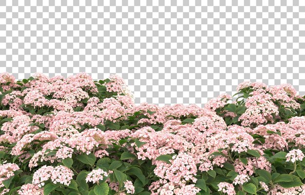 Campo de hierba con flores sobre fondo transparente. Representación 3d - ilustración