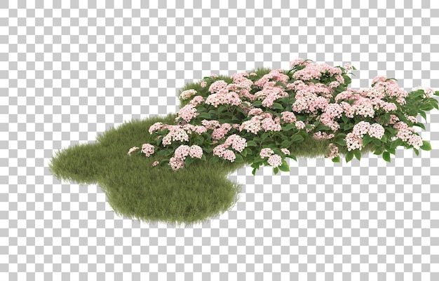 Campo de hierba con flores sobre fondo transparente. Representación 3d - ilustración