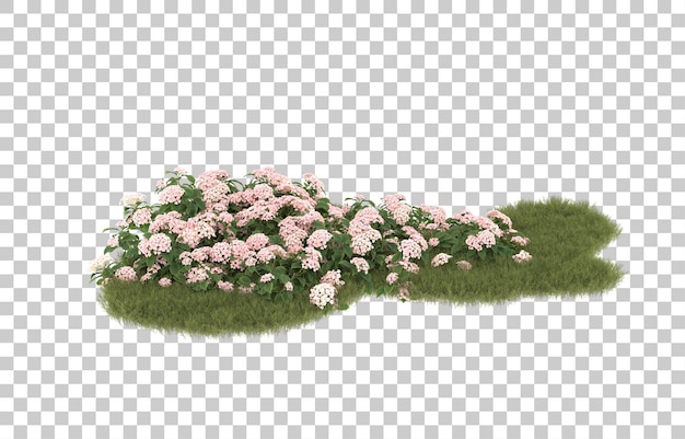 Campo de hierba con flores sobre fondo transparente. Representación 3d - ilustración