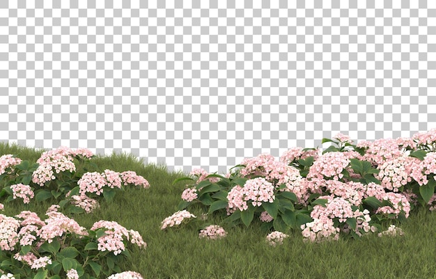 Campo de hierba con flores sobre fondo transparente. Representación 3d - ilustración