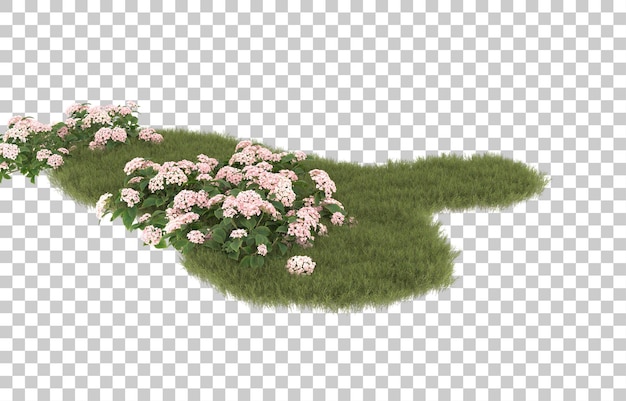 Campo de hierba con flores sobre fondo transparente. representación 3d - ilustración