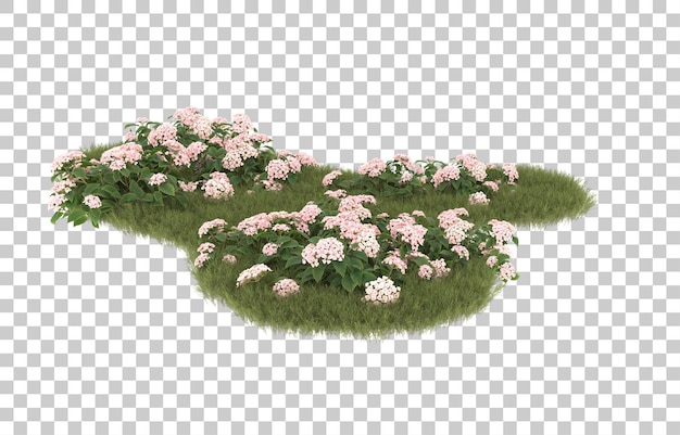Campo de hierba con flores sobre fondo transparente. Representación 3d - ilustración
