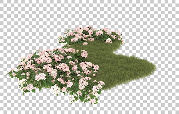 Campo de hierba con flores sobre fondo transparente. Representación 3d - ilustración