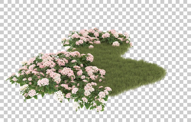 Campo de hierba con flores sobre fondo transparente. representación 3d - ilustración