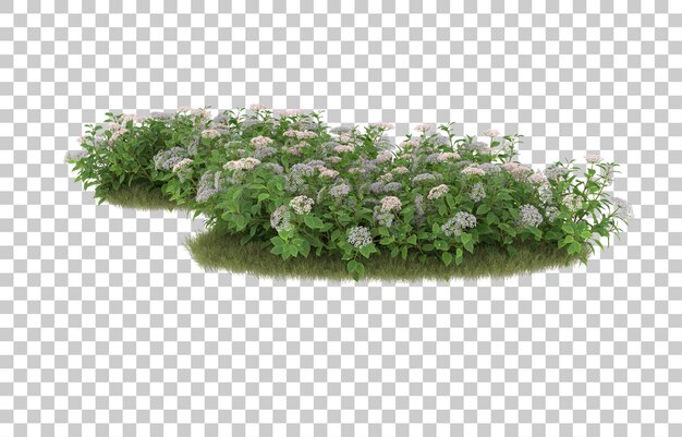 Campo de hierba con flores sobre fondo transparente. Representación 3d - ilustración
