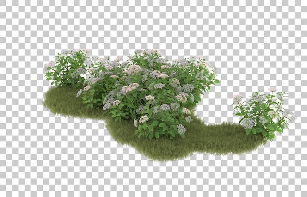 Campo de hierba con flores sobre fondo transparente. Representación 3d - ilustración