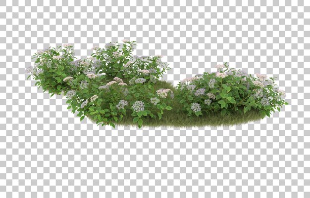 Campo de hierba con flores sobre fondo transparente. Representación 3d - ilustración