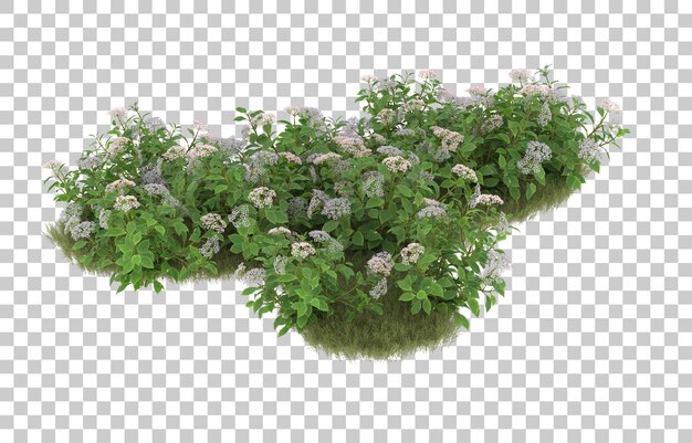 Campo de hierba con flores sobre fondo transparente. Representación 3d - ilustración