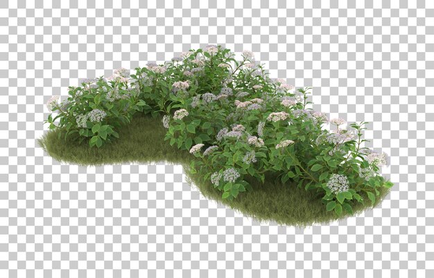 Campo de hierba con flores sobre fondo transparente. Representación 3d - ilustración