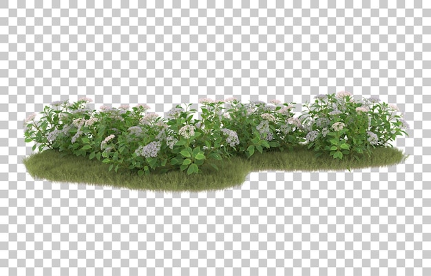 Campo de hierba con flores sobre fondo transparente. Representación 3d - ilustración