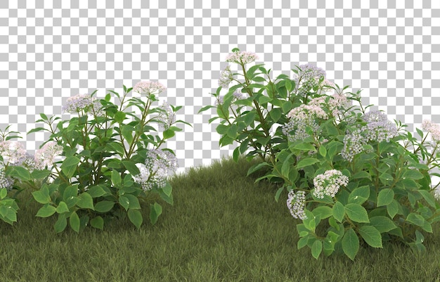 Campo de hierba con flores sobre fondo transparente. Representación 3d - ilustración