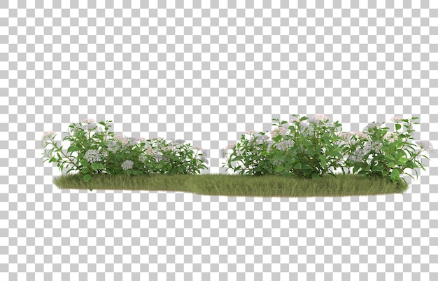 Campo de hierba con flores sobre fondo transparente. Representación 3d - ilustración